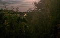  Fotka #2: Stavebný pozemok - Jasov