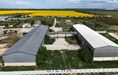  Fotka #2: Skladové haly na prenájom pri D1, 900 až 1000 m²